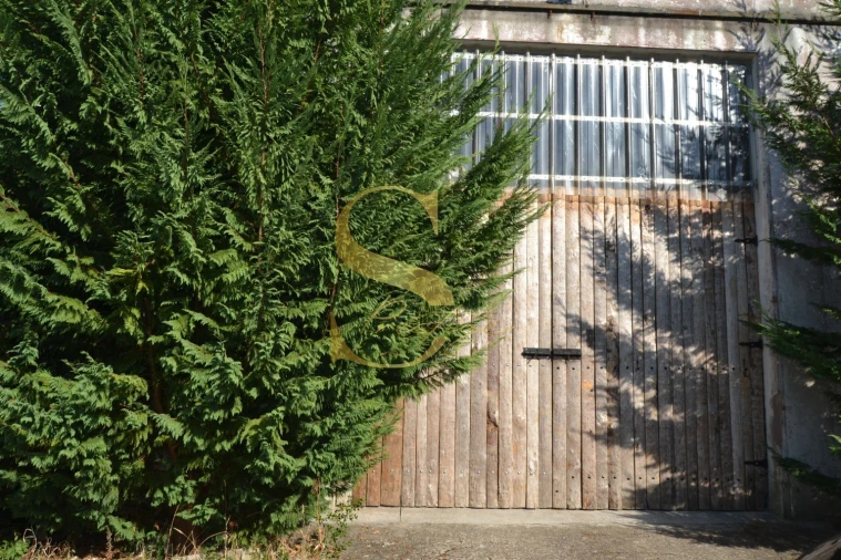 Moradia T2 para Venda em Arrimal e Mendiga Foto 19