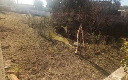 Moradia T6 para Venda em Torres Novas (São Pedro), Lapas e Ribeira Branca