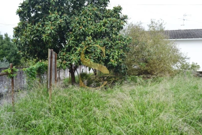 Moradia T6 para Venda em Torres Novas (São Pedro), Lapas e Ribeira Branca