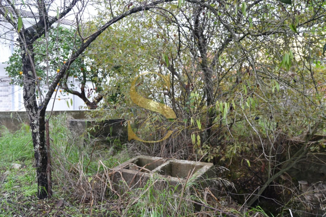 Moradia T6 para Venda em Torres Novas (São Pedro), Lapas e Ribeira Branca Foto 27