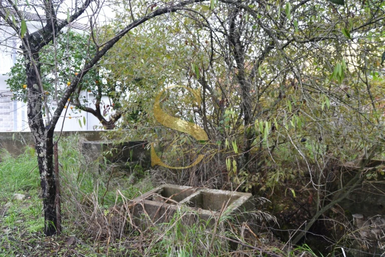 Moradia T6 para Venda em Torres Novas (São Pedro), Lapas e Ribeira Branca Foto 27