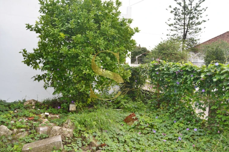 Moradia T6 para Venda em Torres Novas (São Pedro), Lapas e Ribeira Branca Foto 37