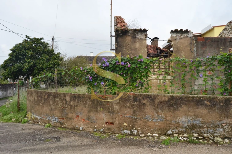 Moradia T6 para Venda em Torres Novas (São Pedro), Lapas e Ribeira Branca Foto 11