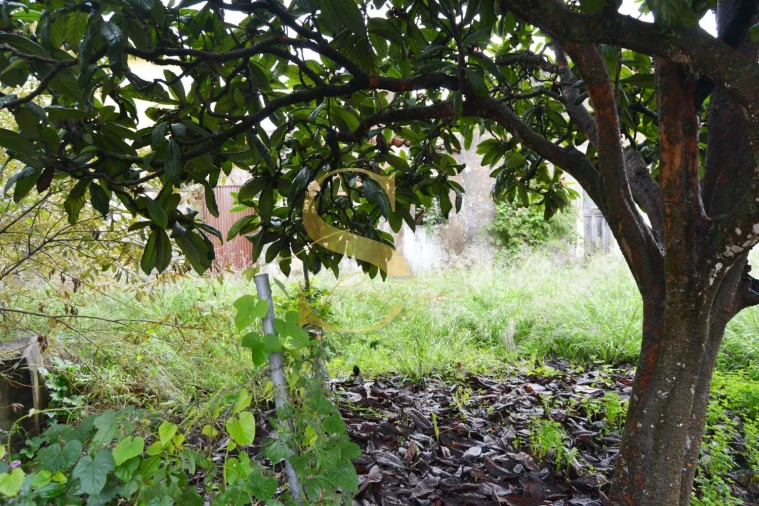 Moradia T6 para Venda em Torres Novas (São Pedro), Lapas e Ribeira Branca Foto 28