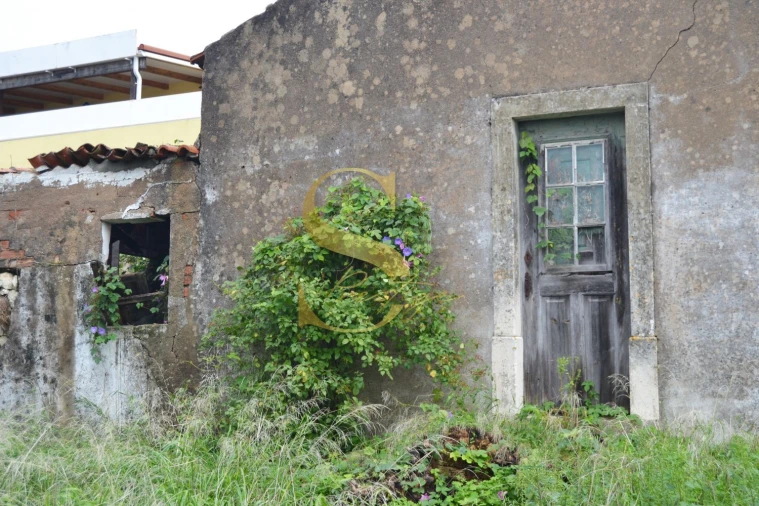 Moradia T6 para Venda em Torres Novas (São Pedro), Lapas e Ribeira Branca Foto 6