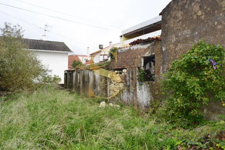 Moradia T6 para Venda em Torres Novas (São Pedro), Lapas e Ribeira Branca Foto 8