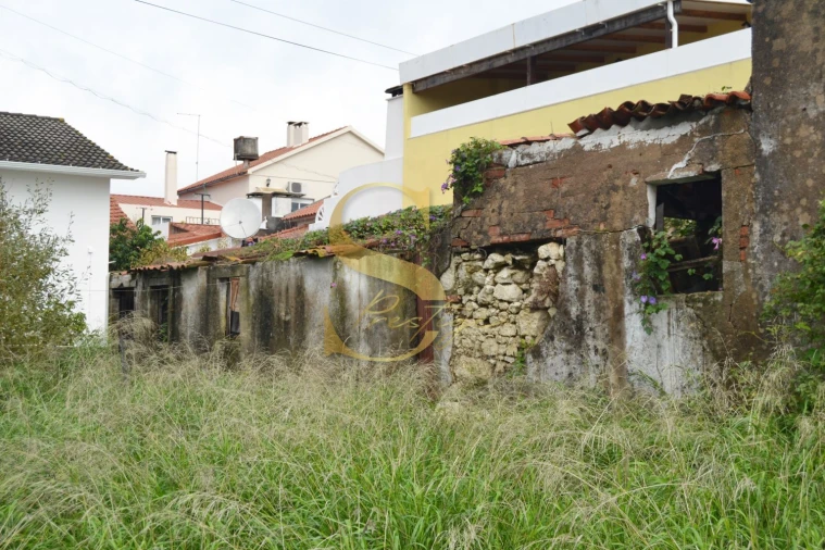 Moradia T6 para Venda em Torres Novas (São Pedro), Lapas e Ribeira Branca Foto 4