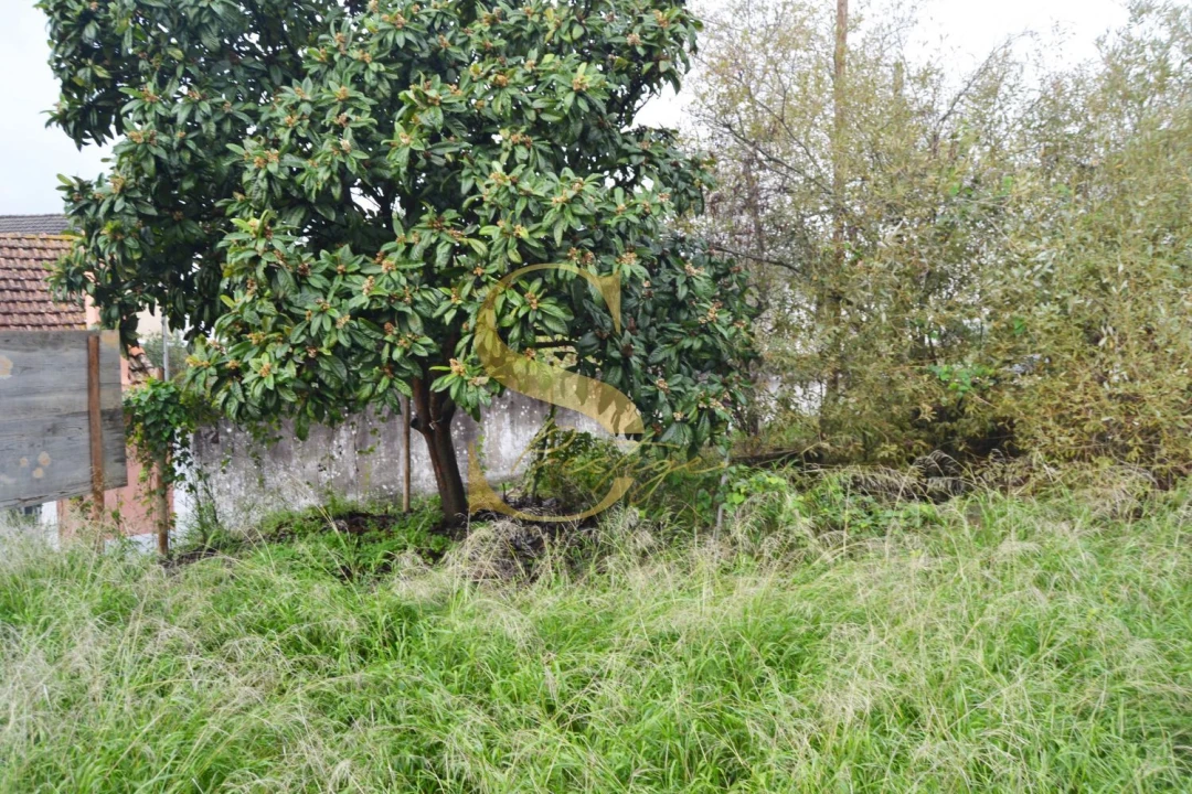 Moradia T6 para Venda em Torres Novas (São Pedro), Lapas e Ribeira Branca Foto 31