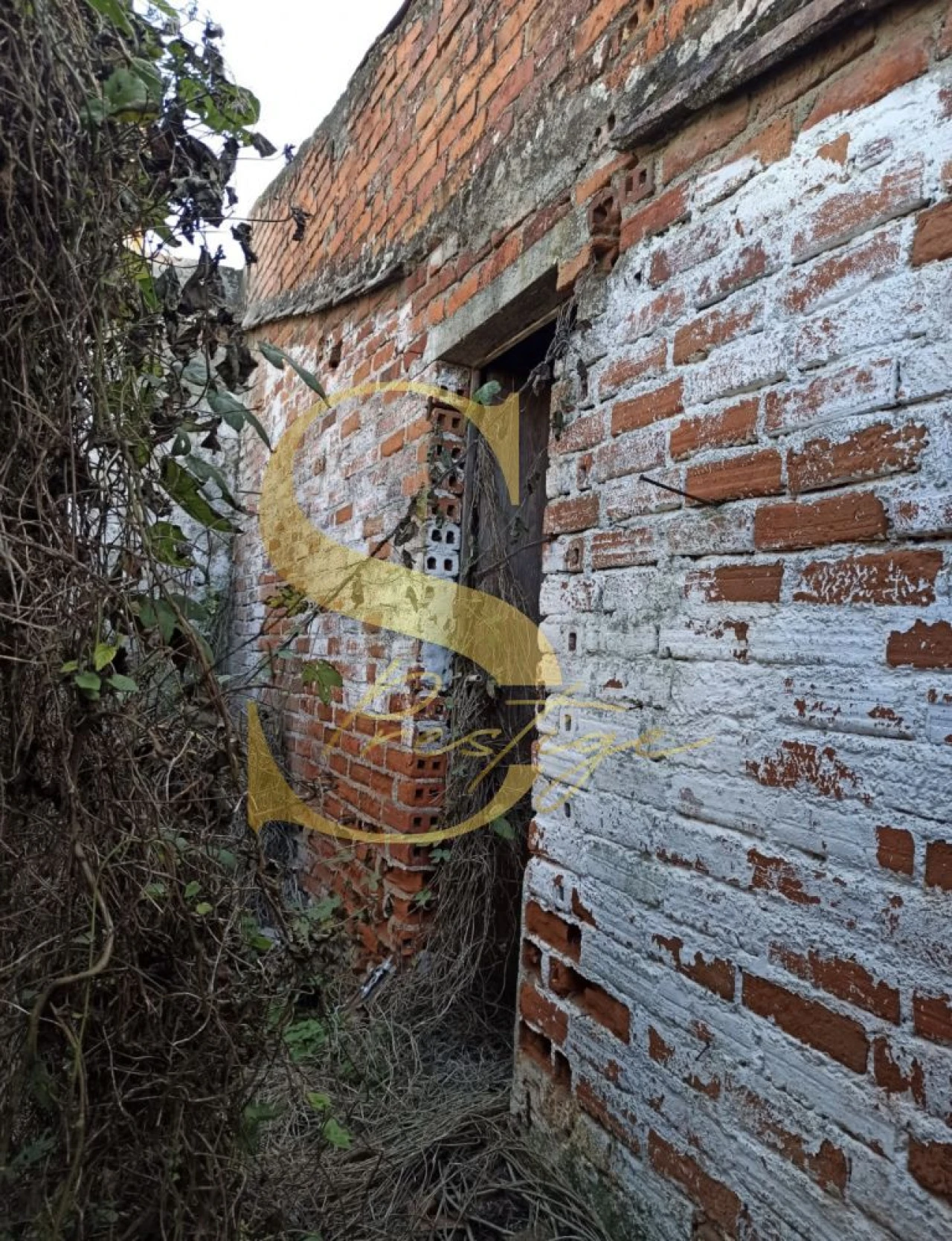 Moradia T6 para Venda em Torres Novas (São Pedro), Lapas e Ribeira Branca Foto 23