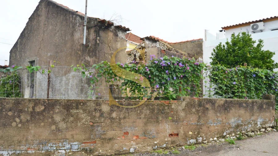 Moradia T6 para Venda em Torres Novas (São Pedro), Lapas e Ribeira Branca