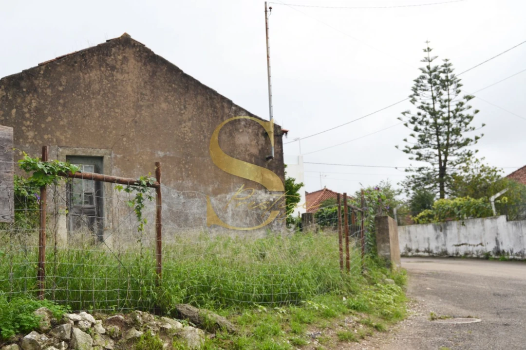 Moradia T6 para Venda em Torres Novas (São Pedro), Lapas e Ribeira Branca Foto 3