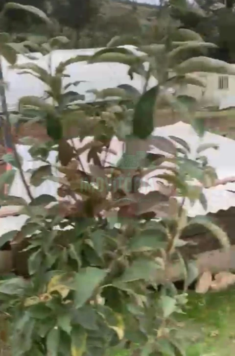 Quinta T0 para Venda em Arranho