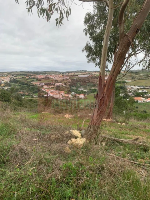 Quinta T0 para Venda em Arranho