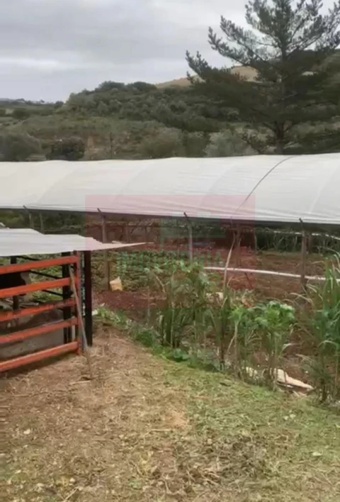 Quinta T0 para Venda em Arranho
