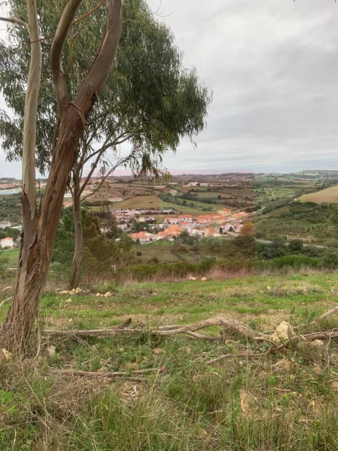 Quinta T0 para Venda em Arranho