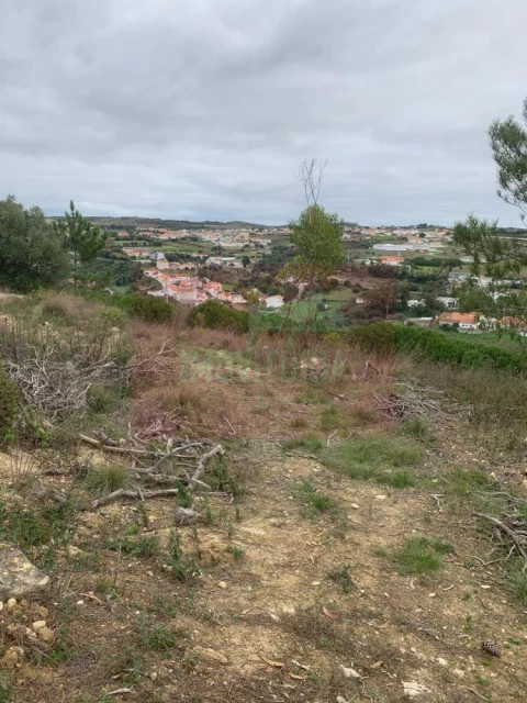 Quinta T0 para Venda em Arranho