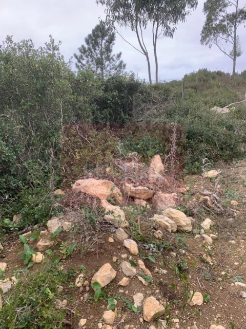 Quinta T0 para Venda em Arranho