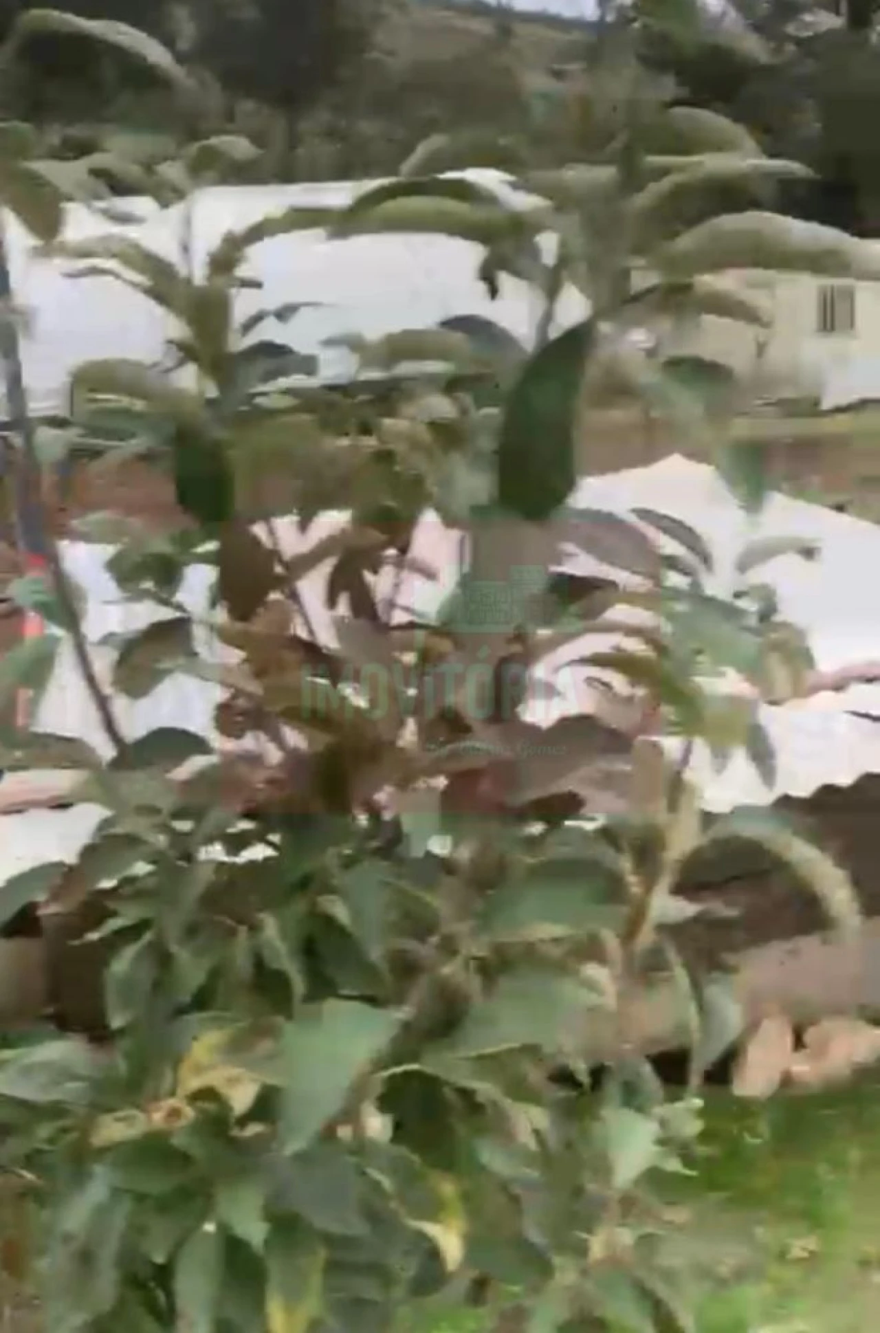 Quinta T0 para Venda em Arranho Foto 22