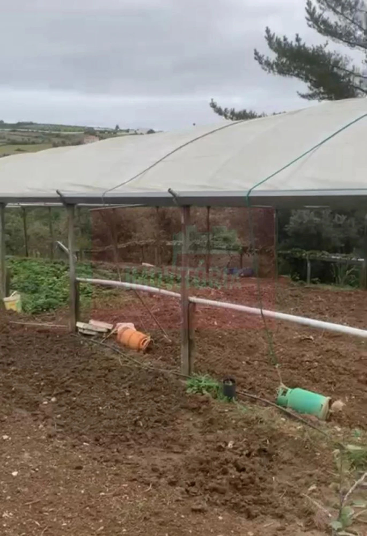 Quinta T0 para Venda em Arranho Foto 19