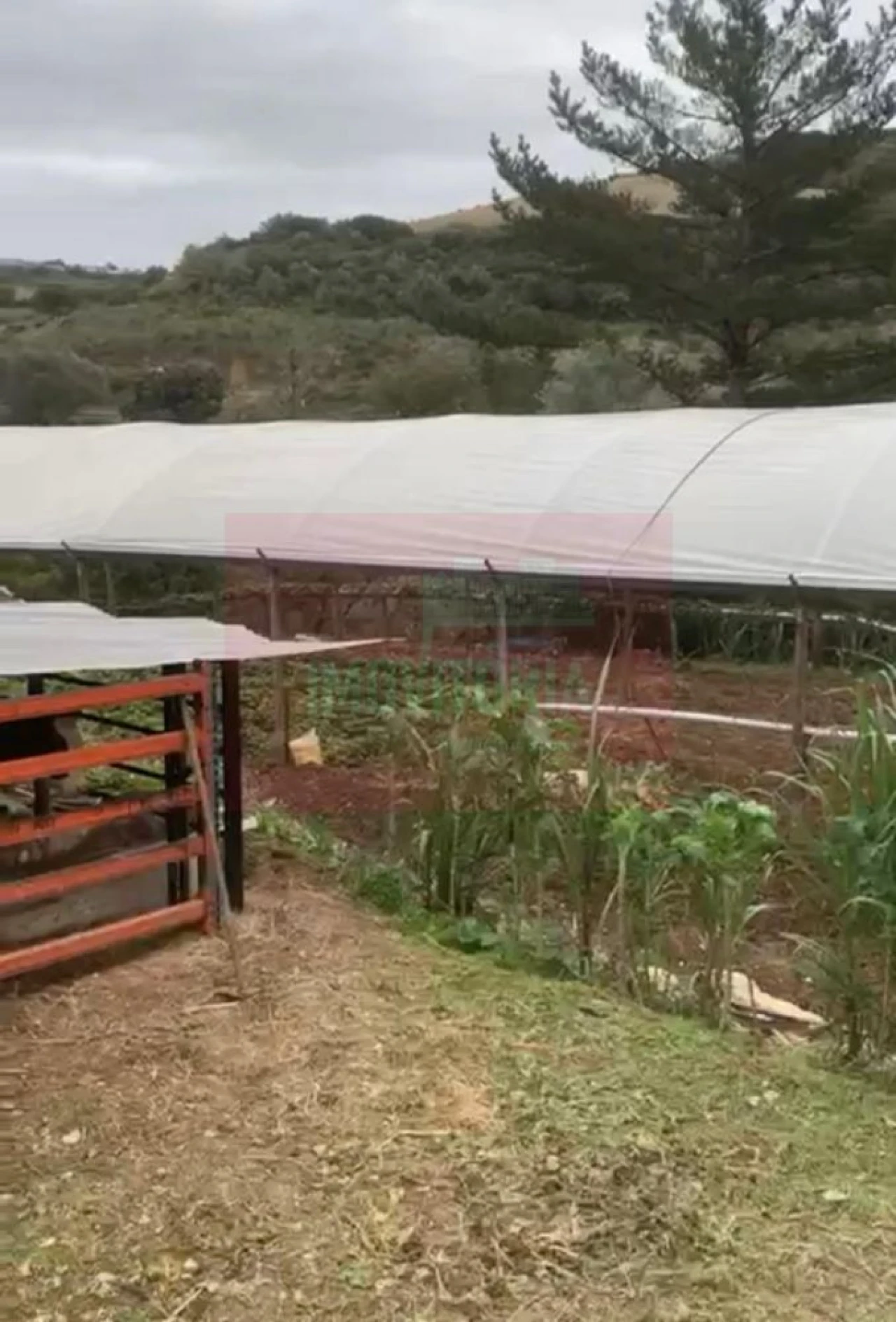 Quinta T0 para Venda em Arranho Foto 21