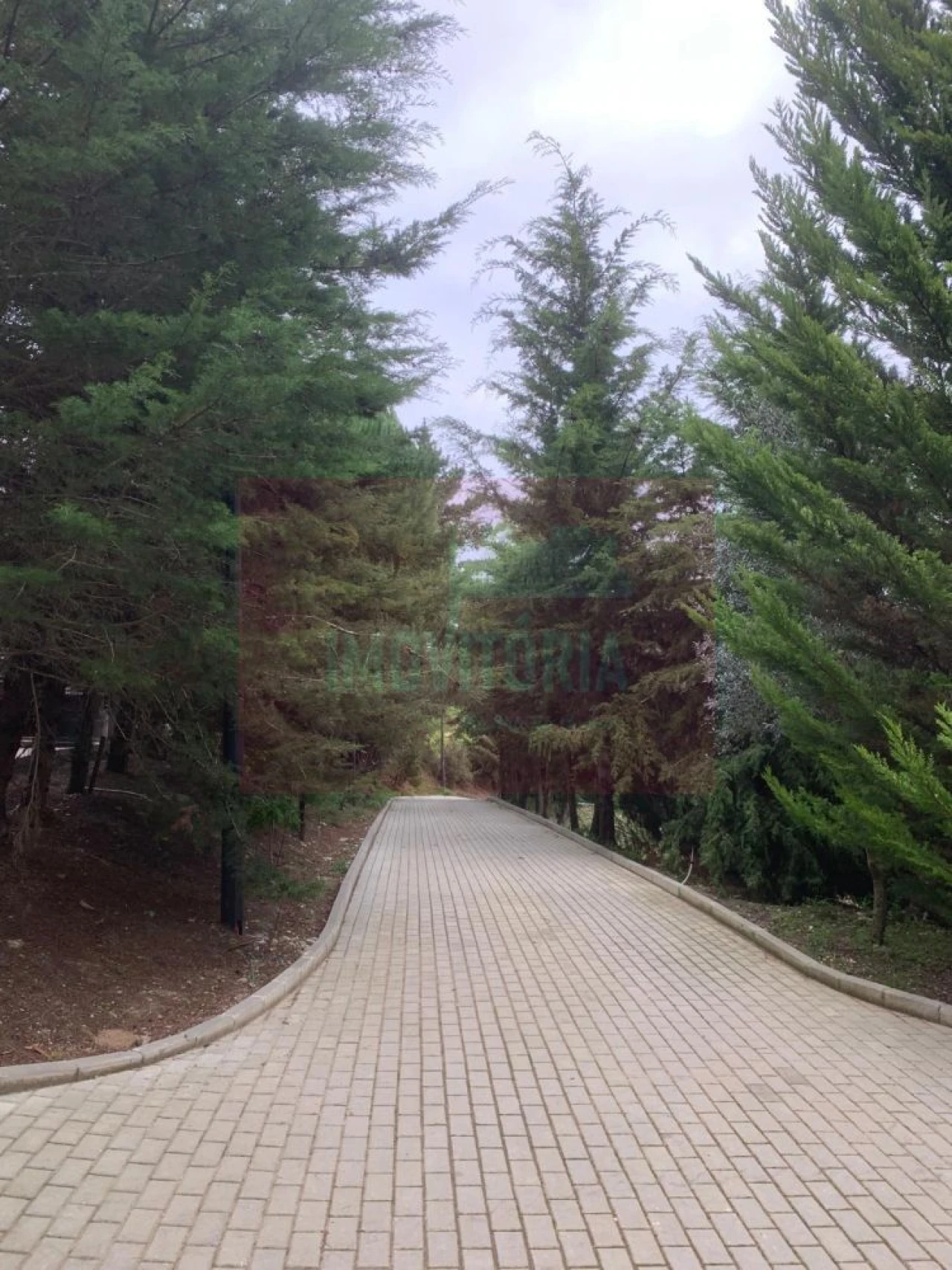 Quinta T0 para Venda em Arranho Foto 1