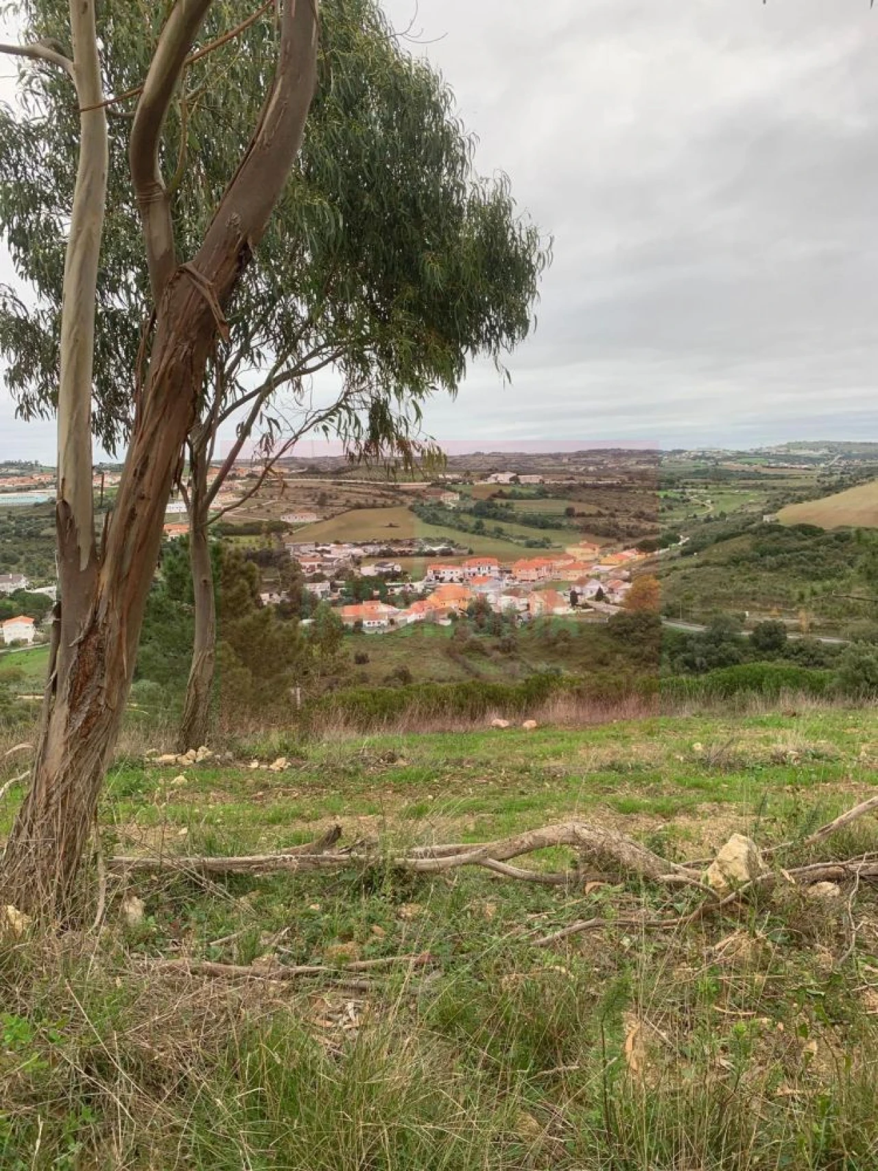 Quinta T0 para Venda em Arranho Foto 34