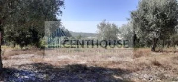 Terreno para Venda em Mealhada, Ventosa do Bairro e Antes