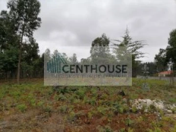 Terreno para Venda em Tocha