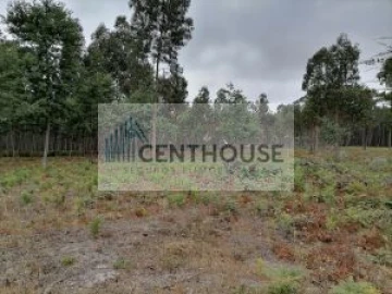 Terreno para Venda em Cantanhede e Pocariça