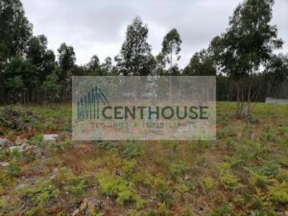 Terreno para Venda em Cantanhede e Pocariça Foto 2