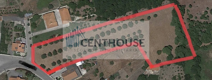 Terreno para Venda em Cantanhede e Pocariça