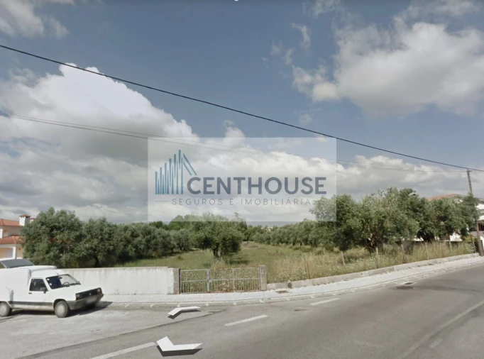 Terreno para Venda em Cantanhede e Pocariça Foto 3