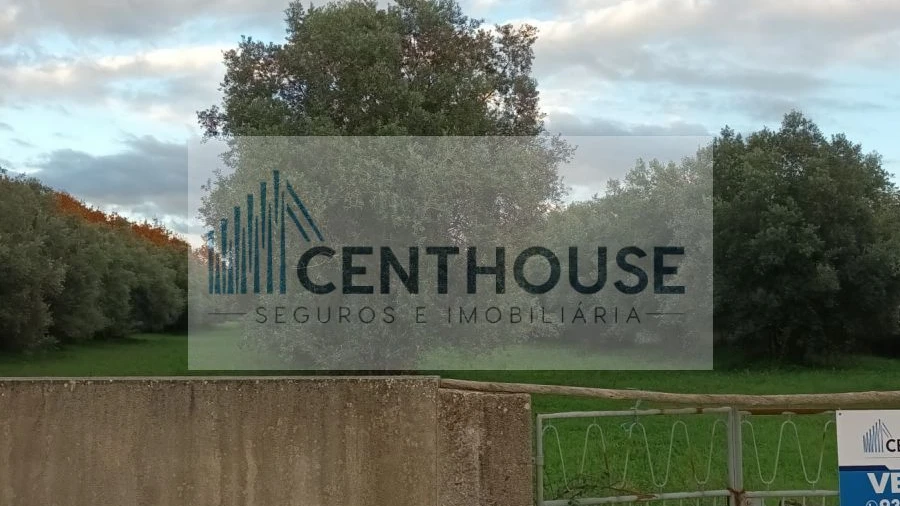 Terreno para Venda em Cantanhede e Pocariça