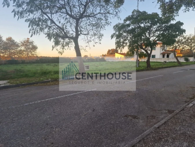 Terreno para Venda em Cantanhede e Pocariça Foto 5