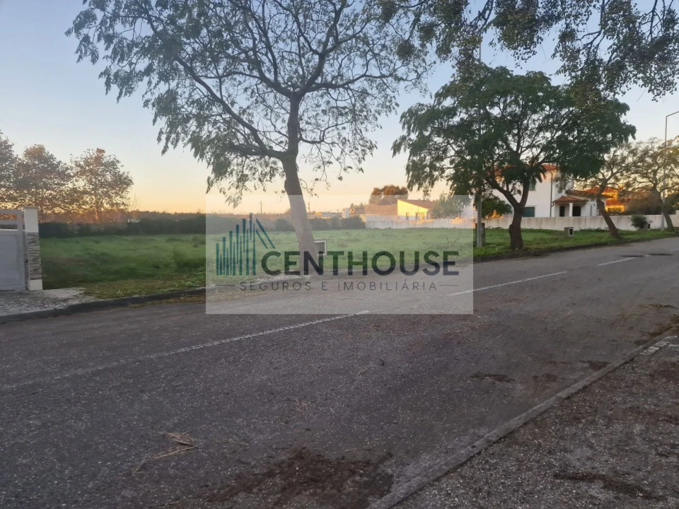 Terreno para Venda em Cantanhede e Pocariça Foto 4