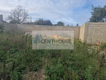 Moradia T4 para Venda em Cantanhede e Pocariça