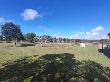 Quinta T2 para Venda em Santiago do Cacém, Santa Cruz e São Bartolomeu da Serra