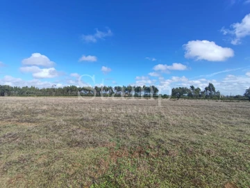 Quinta T2 para Venda em Santiago do Cacém, Santa Cruz e São Bartolomeu da Serra
