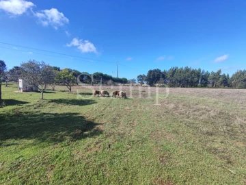 Quinta T2 para Venda em Santiago do Cacém, Santa Cruz e São Bartolomeu da Serra