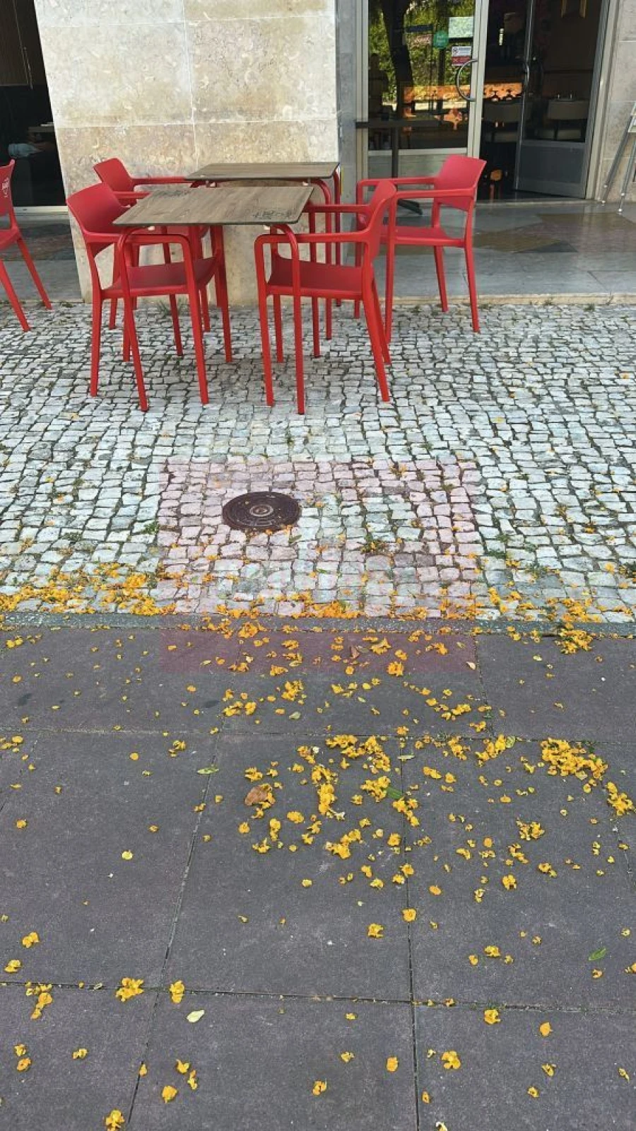 Loja para Trespasse em Parque das Nações Foto 4
