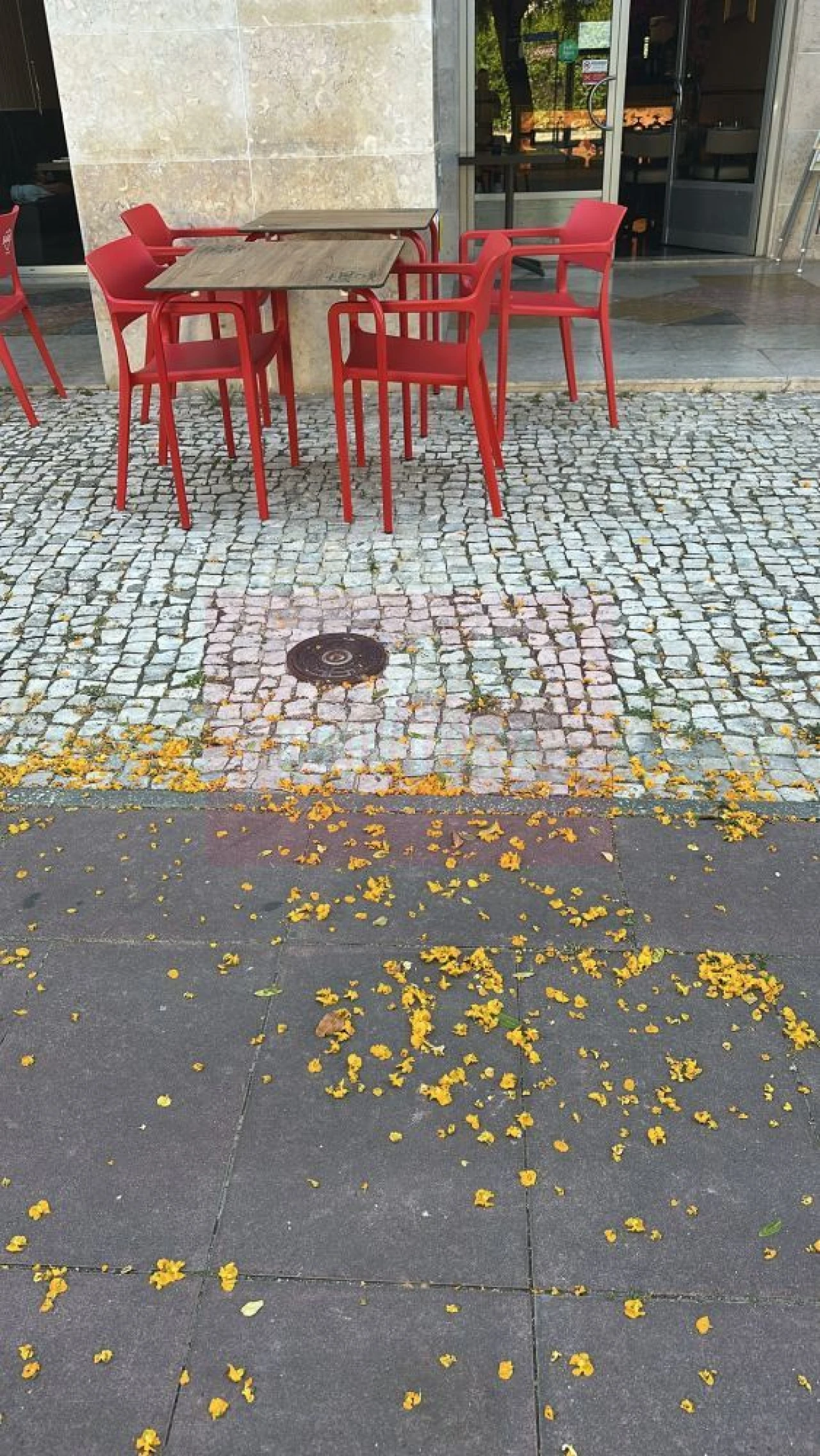 Loja para Trespasse em Parque das Nações Foto 4