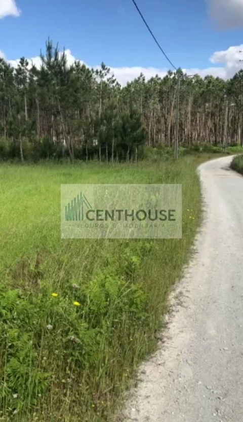 Terreno para Venda em Tocha