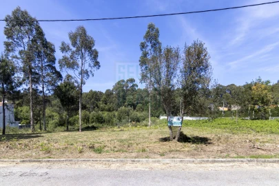 Terreno para Venda em Anta e Guetim