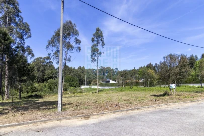 Terreno para Venda em Anta e Guetim