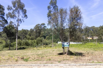 Terreno para Venda em Anta e Guetim
