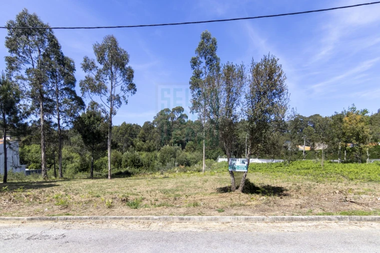 Terreno para Venda em Anta e Guetim Foto 3