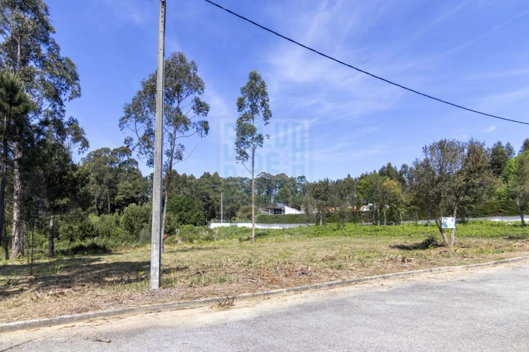 Terreno para Venda em Anta e Guetim Foto 2