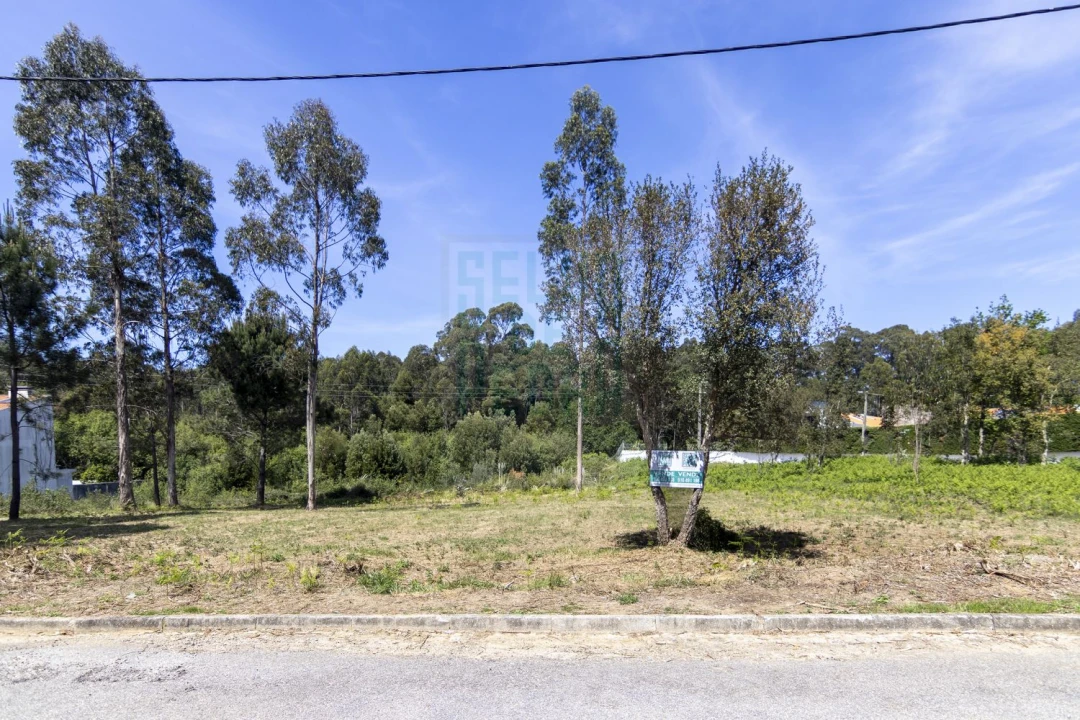 Terreno para Venda em Anta e Guetim Foto 3