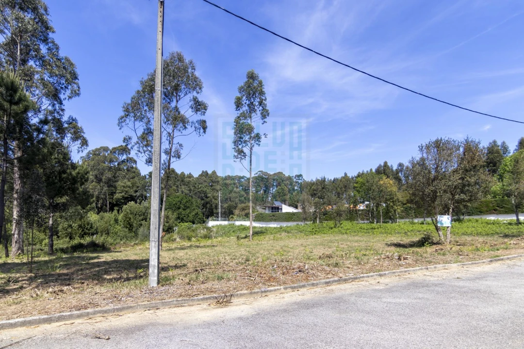 Terreno para Venda em Anta e Guetim Foto 2