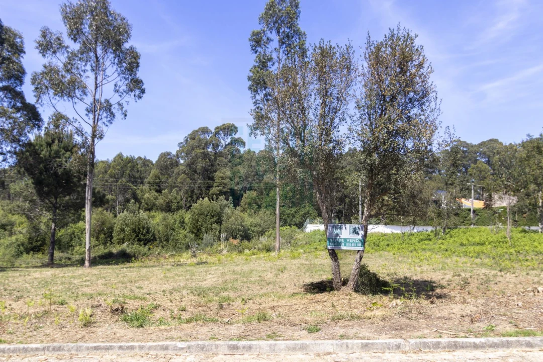 Terreno para Venda em Anta e Guetim Foto 4